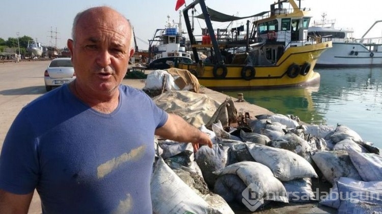 Balık diye çıktılar, ağları çekince şoke oldular!