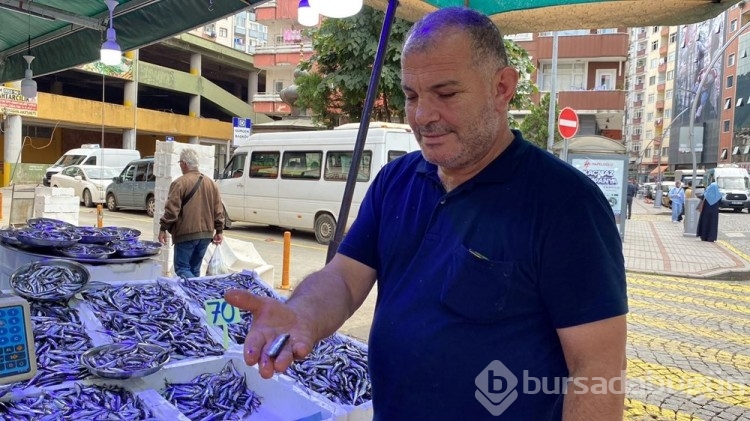 Karadeniz'de hamsi boyları küçüldü
