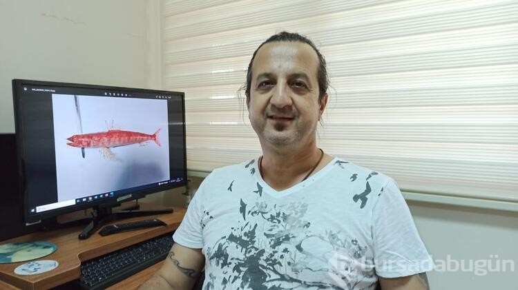 Kızıldeniz'de yaşayan balık türü ilk kez Akdeniz'de görüldü
