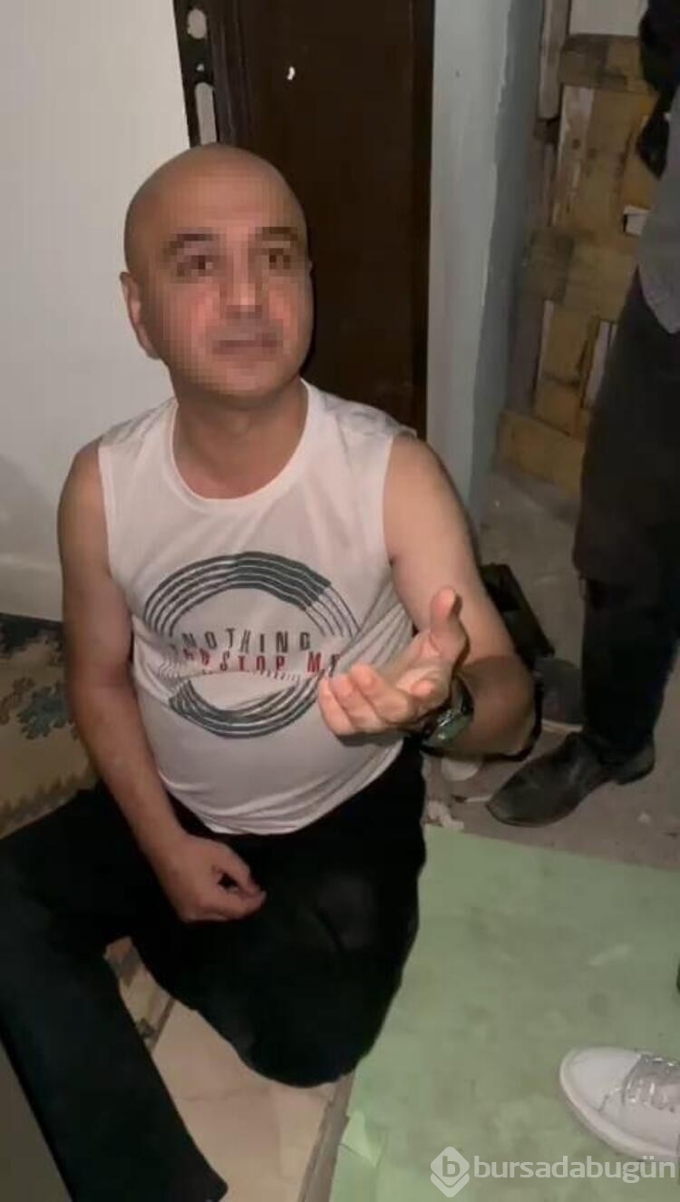 Yavru kedilere şiddet uygulayan şüpheliye para cezası