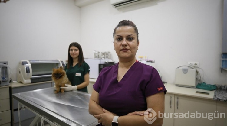 20 binin üzerinde sahipli ve sahipsiz hayvan kuduza karşı aşılandı
