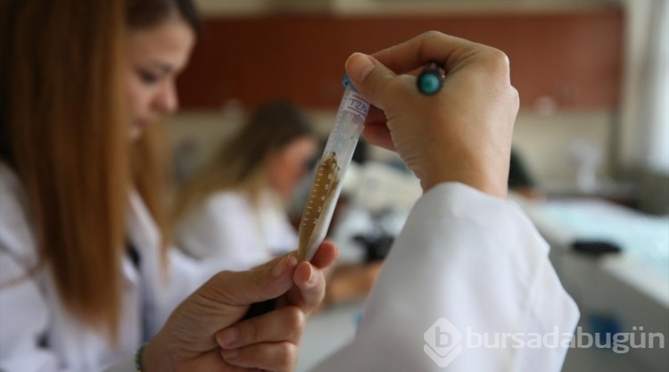 Bilim insanları Çanakkale'deki "Kalpli Göl"de yeni tür mikroorganizmalar keşfetmeye çalışıyor
