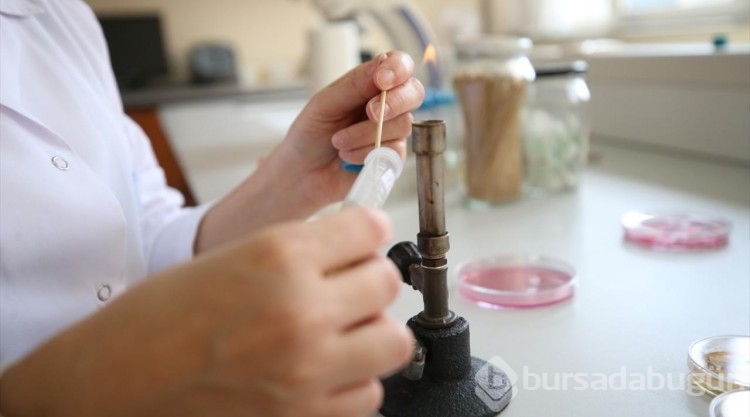 Bilim insanları Çanakkale'deki "Kalpli Göl"de yeni tür mikroorganizmalar keşfetmeye çalışıyor
