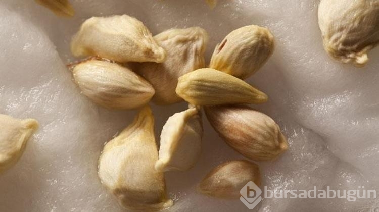 Limon çekirdeğini çöpe atanlar bin pişman oluyor!