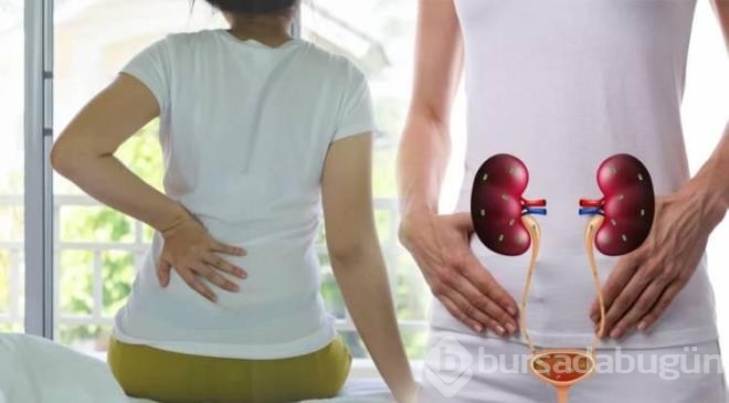 Böbrek taşına neden olan besinler neler?
