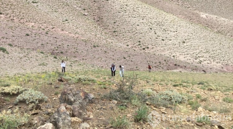Akademisyenler, hendek çalışmalarıyla deprem üretme potansiyeli olan fay hatlarını araştıracak