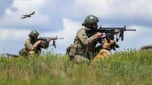 Türkiye'ye girmeye çalışan FETÖ'cü kişiler yakalandı