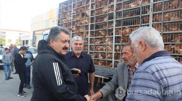 Cihanbeyli Belediyesi ilçedeki 800 aileye kümes hayvanı dağıttı