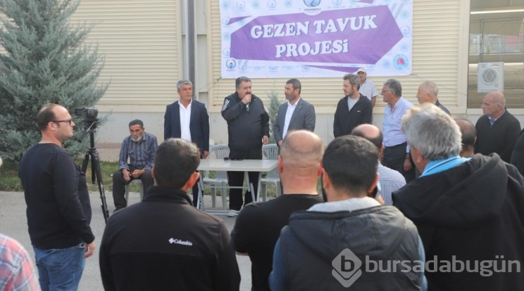 Cihanbeyli Belediyesi ilçedeki 800 aileye kümes hayvanı dağıttı