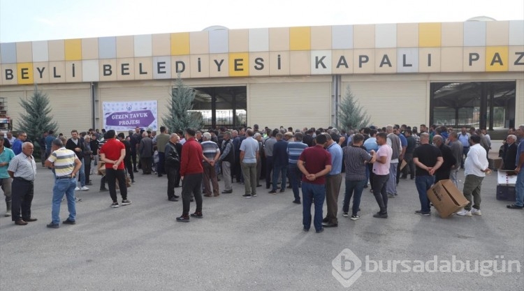 Cihanbeyli Belediyesi ilçedeki 800 aileye kümes hayvanı dağıttı