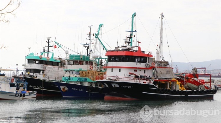 Hamsi bolluğunu duyan balıkçı av için Tekirdağ'a geliyor
