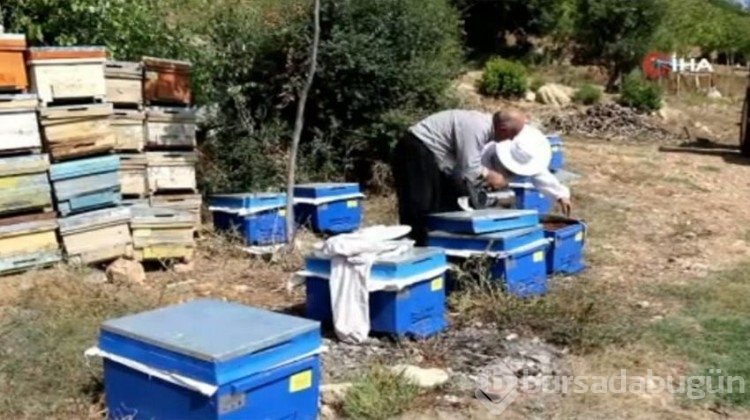 Yüzde 70 hibe ile başladı!