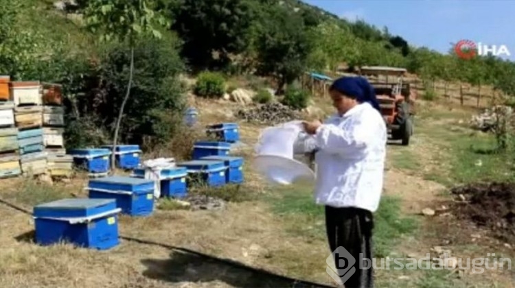 Yüzde 70 hibe ile başladı!