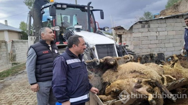Ahırda gördüğü manzara ile dehşete düştü!