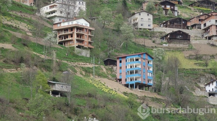 Prof. Dr. Bektaş: Trabzon'da deprem tehlikesi yüksek