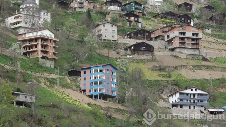 Prof. Dr. Bektaş: Trabzon'da deprem tehlikesi yüksek