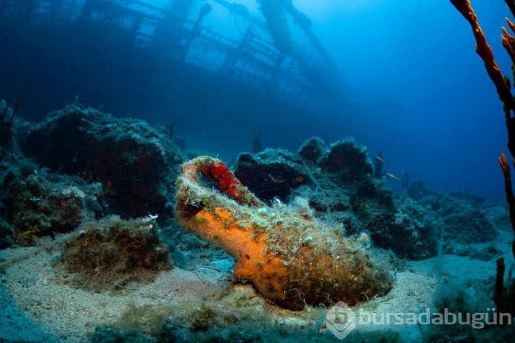Bodrum Yassıada çevresindeki arkeolojik su altı çalışmaları görüntülendi