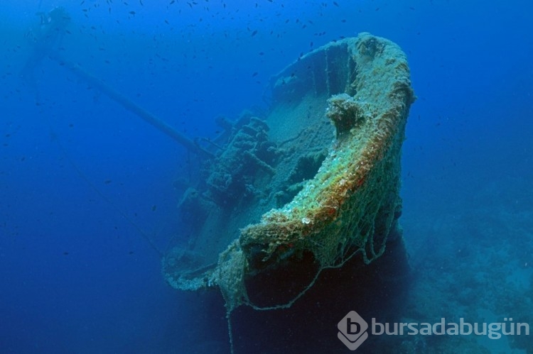 Bodrum Yassıada çevresindeki arkeolojik su altı çalışmaları görüntülendi