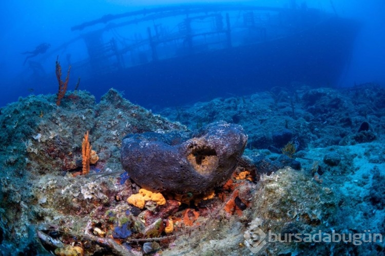 Bodrum Yassıada çevresindeki arkeolojik su altı çalışmaları görüntülendi