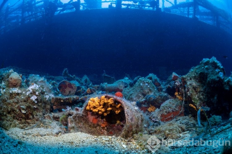 Bodrum Yassıada çevresindeki arkeolojik su altı çalışmaları görüntülendi