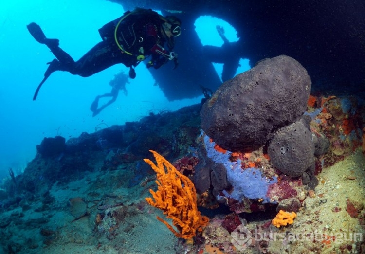 Bodrum Yassıada çevresindeki arkeolojik su altı çalışmaları görüntülendi