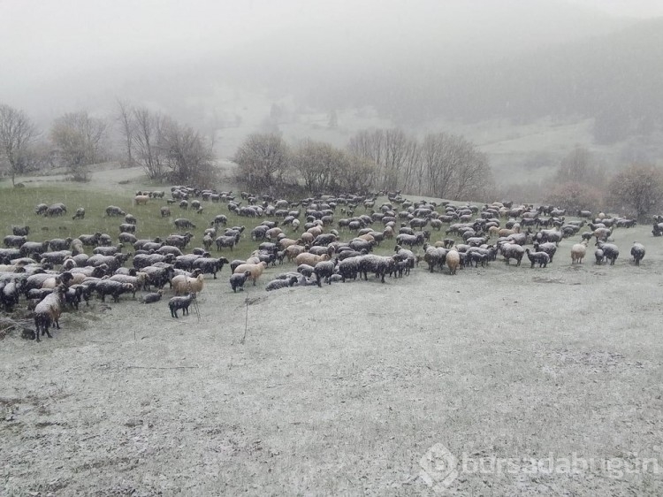 Doğu Karadeniz'de sağanak