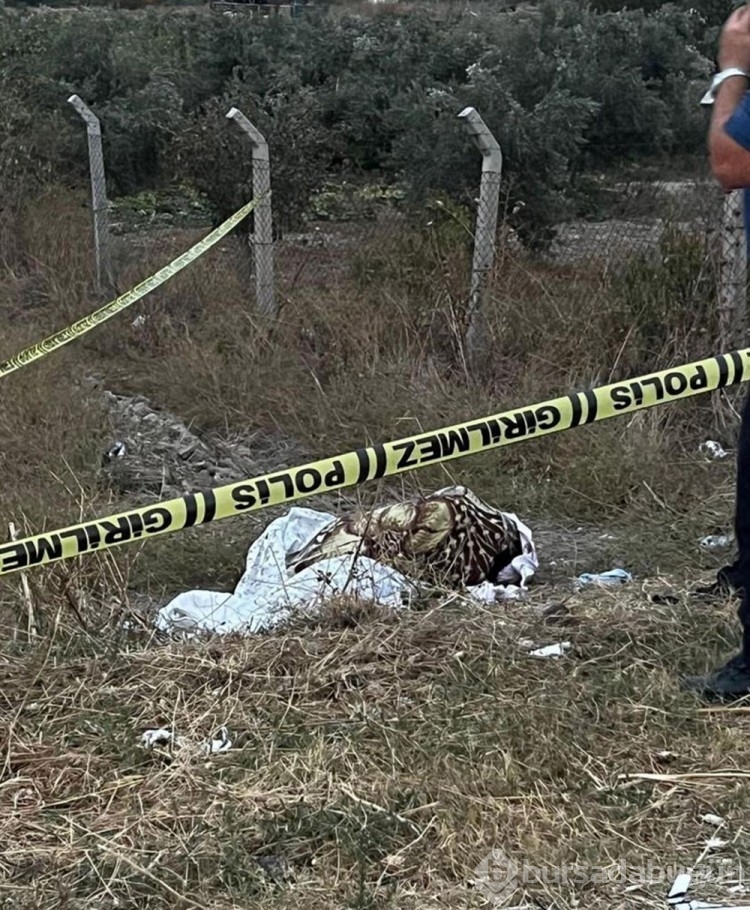 Fare zehirli cinayette mahkeme kararını verdi