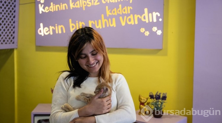Ankara'nın ilk "kedi" konseptli kafesine müşterilerden yoğun ilgi