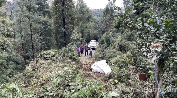 Rize'de yağış sonrası hasar tespiti sürüyor
