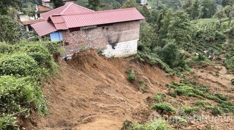 Rize'de yağış sonrası hasar tespiti sürüyor
