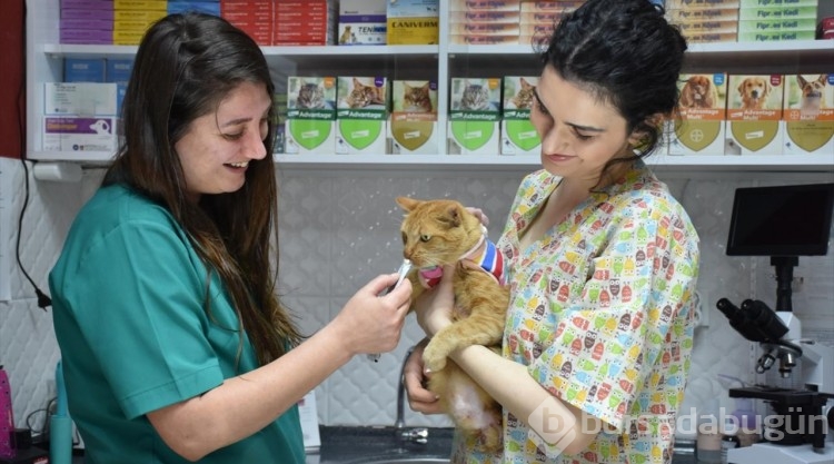 Trabzonlu veteriner hekim tedavi ederek hayata bağladığı kediyi sahiplendi