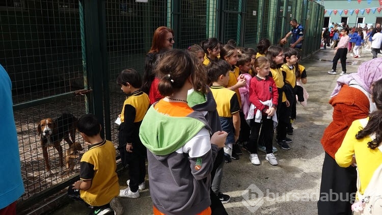 Trabzon'da ilköğretim ve ana sınıfı öğrencilerden hayvan barınağına ziyaret