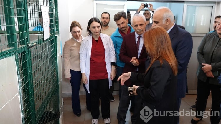 Trabzon'da ilköğretim ve ana sınıfı öğrencilerden hayvan barınağına ziyaret