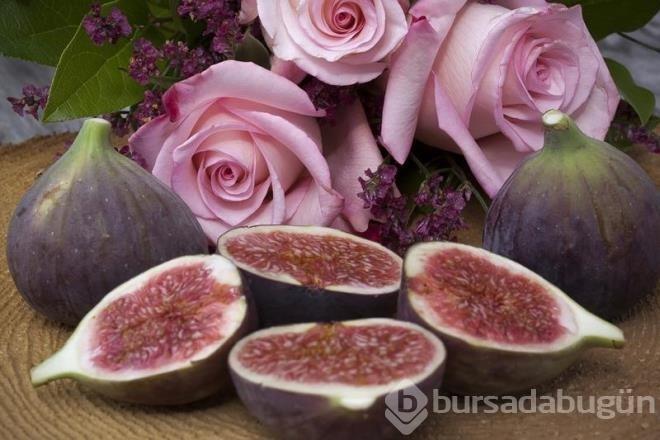 İbn-İ Sina faydalarını saymakla bitiremiyor!
