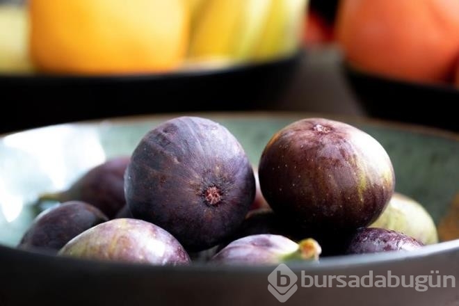 İbn-İ Sina faydalarını saymakla bitiremiyor!

