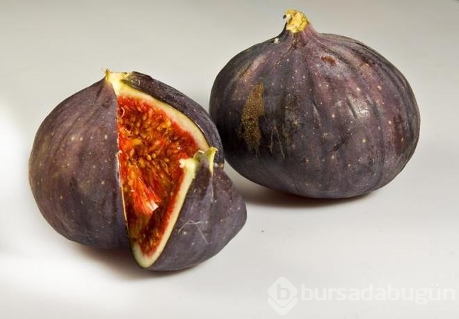 İbn-İ Sina faydalarını saymakla bitiremiyor!
