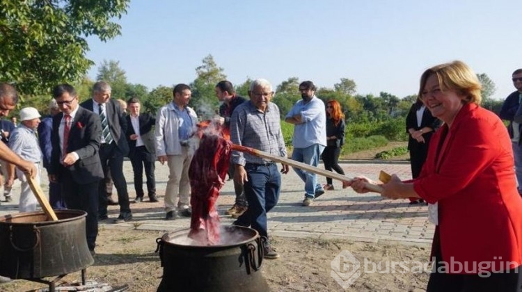 'Kaybedilen hazine'de çalışmalar sonuç verdi, hasadı yapıldı!