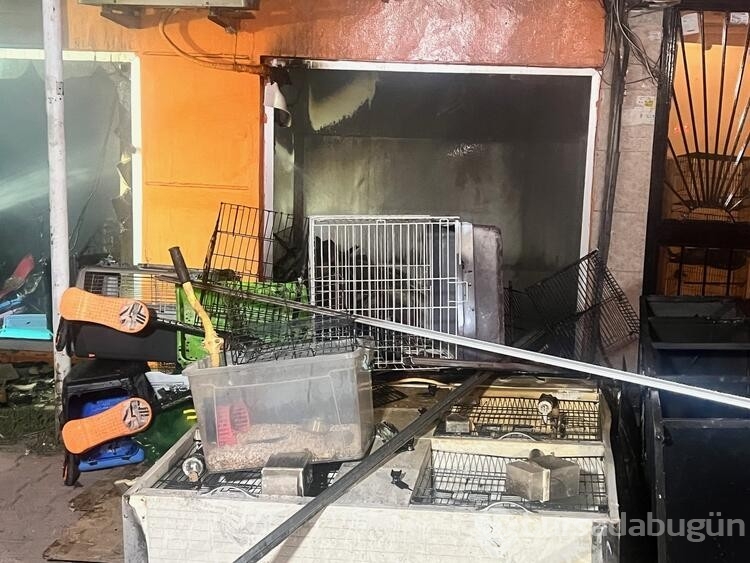 Maltepe'de petshopta yangın çıktı