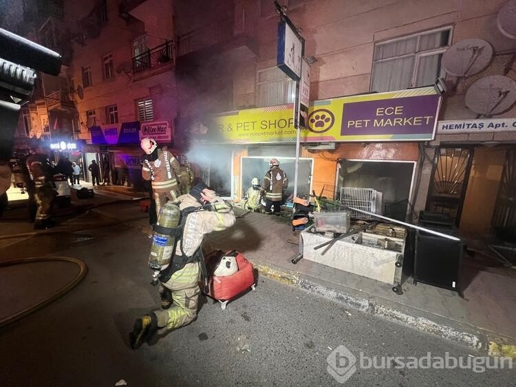Maltepe'de petshopta yangın çıktı