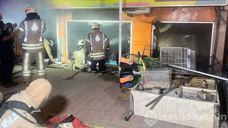 Maltepe'de petshopta yangın çıktı