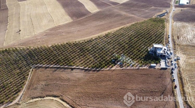 Elazığ'da 472 bin ağaçta badem hasadı başladı
