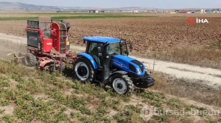 Çiftçiler büyük zararda! Ürünler tarlada kaldı