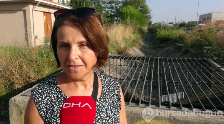 Edirne'de sulama kanalındaki balık ölümleri
