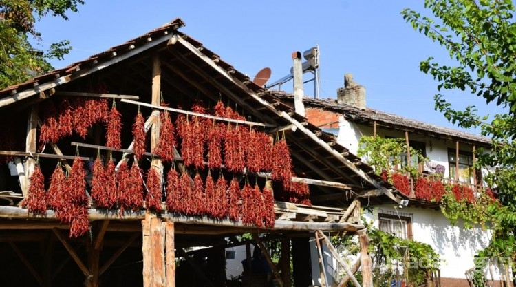 Tescilli 'Çukurören biberi'nde kurutma mesaisi köyü adeta kırmızıya boyuyor