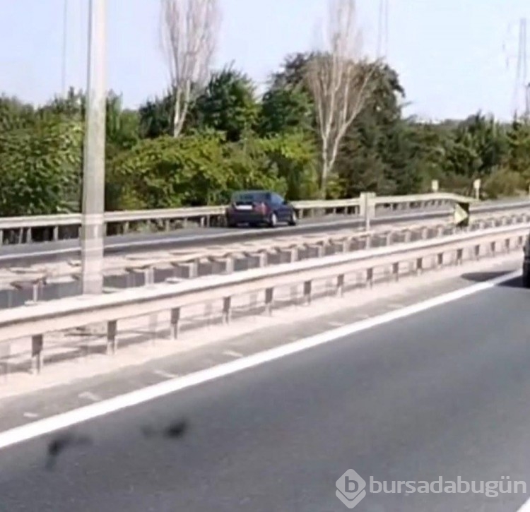 TEM'de kilometrelerce ters yönde gitti