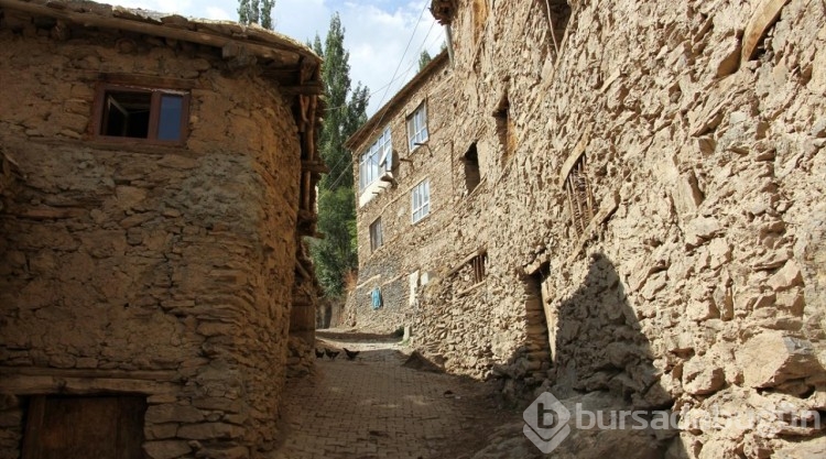 Bitlis'teki taş evler doğaseverlerin ilgisini çekiyor
