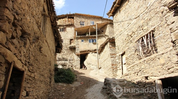 Bitlis'teki taş evler doğaseverlerin ilgisini çekiyor
