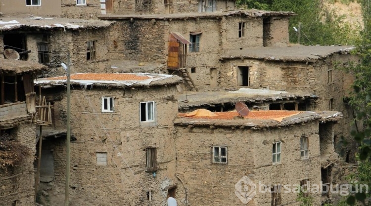 Bitlis'teki taş evler doğaseverlerin ilgisini çekiyor
