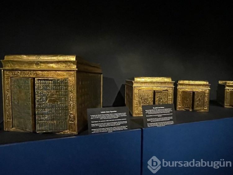 "Gizemli Firavun Tutankhamun'un Hazineleri" sergisi açıldı