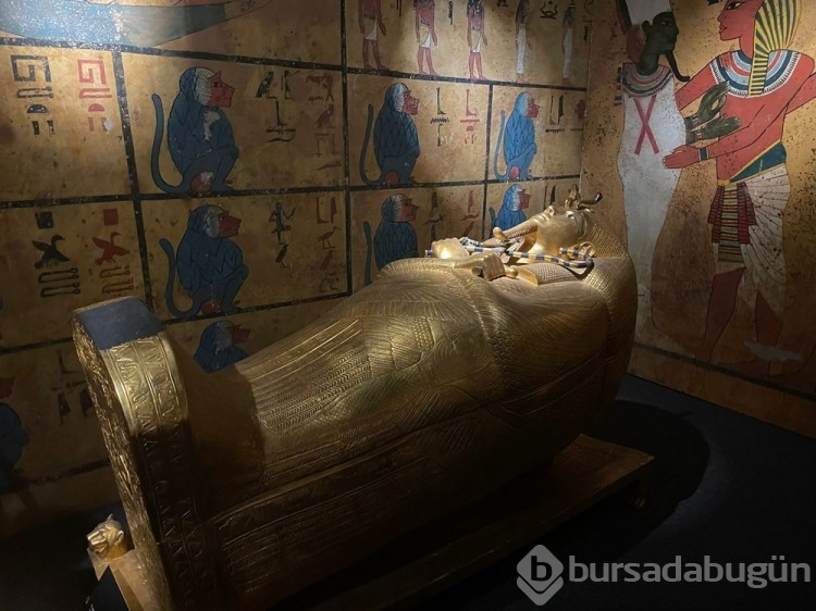 "Gizemli Firavun Tutankhamun'un Hazineleri" sergisi açıldı